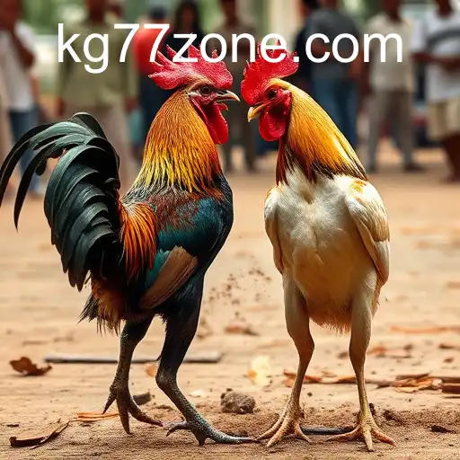 Gaming Experience KG77 - 800+ Premium and Exclusive Games